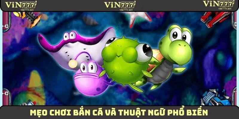 Mẹo Chơi Bắn Cá Bách Chiến, Bách Thắng Từ Chuyên Gia 2025 2 Mẹo chơi bắn cá và thuật ngữ phổ biến